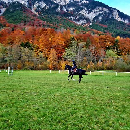 Apartament Muehle In Der Pferdewelt Reichenau an der Rax Zewnętrze zdjęcie
