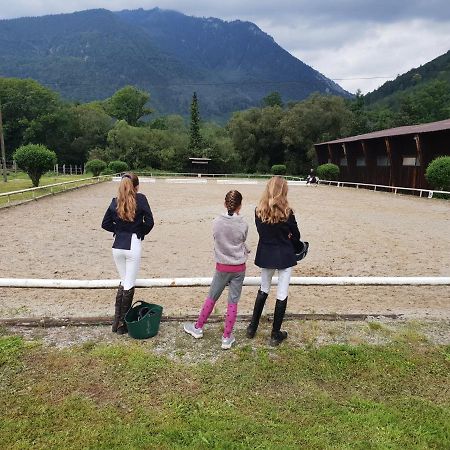 Apartament Muehle In Der Pferdewelt Reichenau an der Rax Zewnętrze zdjęcie