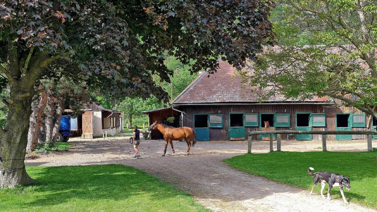 Apartament Muehle In Der Pferdewelt Reichenau an der Rax Zewnętrze zdjęcie