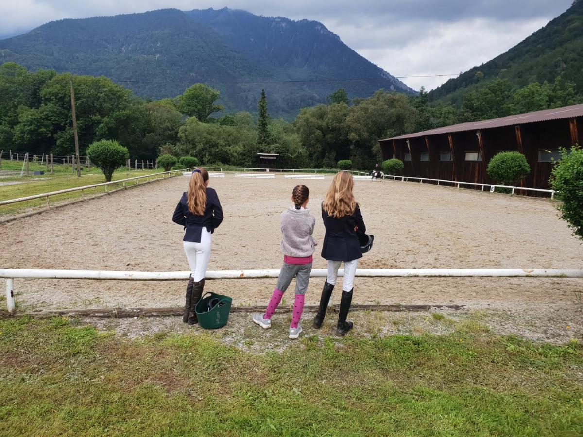 Apartament Muehle In Der Pferdewelt Reichenau an der Rax Zewnętrze zdjęcie