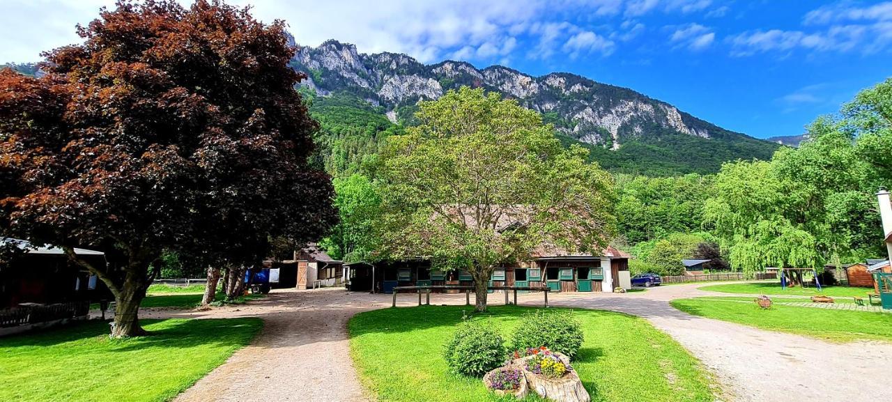 Apartament Muehle In Der Pferdewelt Reichenau an der Rax Zewnętrze zdjęcie