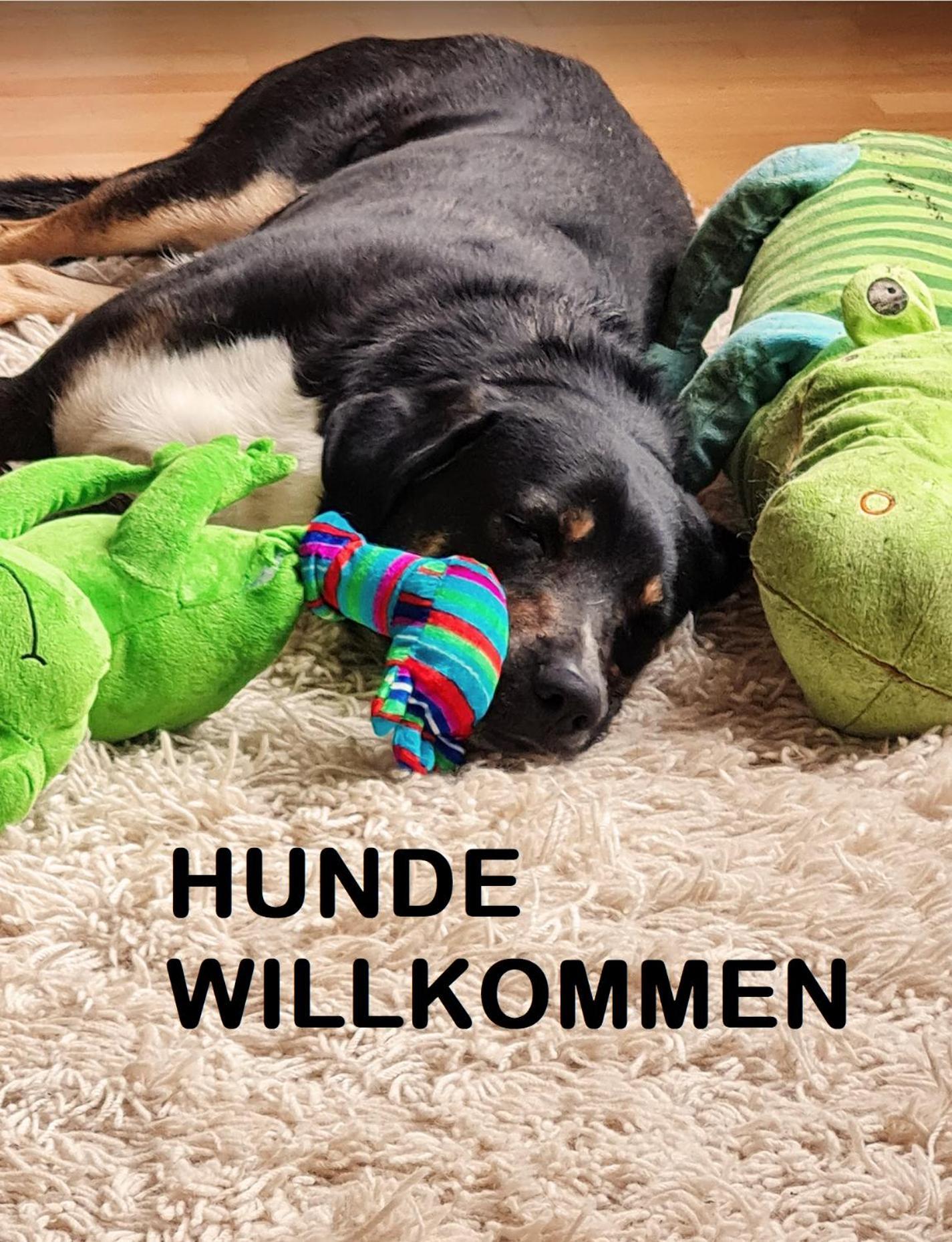 Apartament Muehle In Der Pferdewelt Reichenau an der Rax Zewnętrze zdjęcie